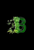 BambooFlix